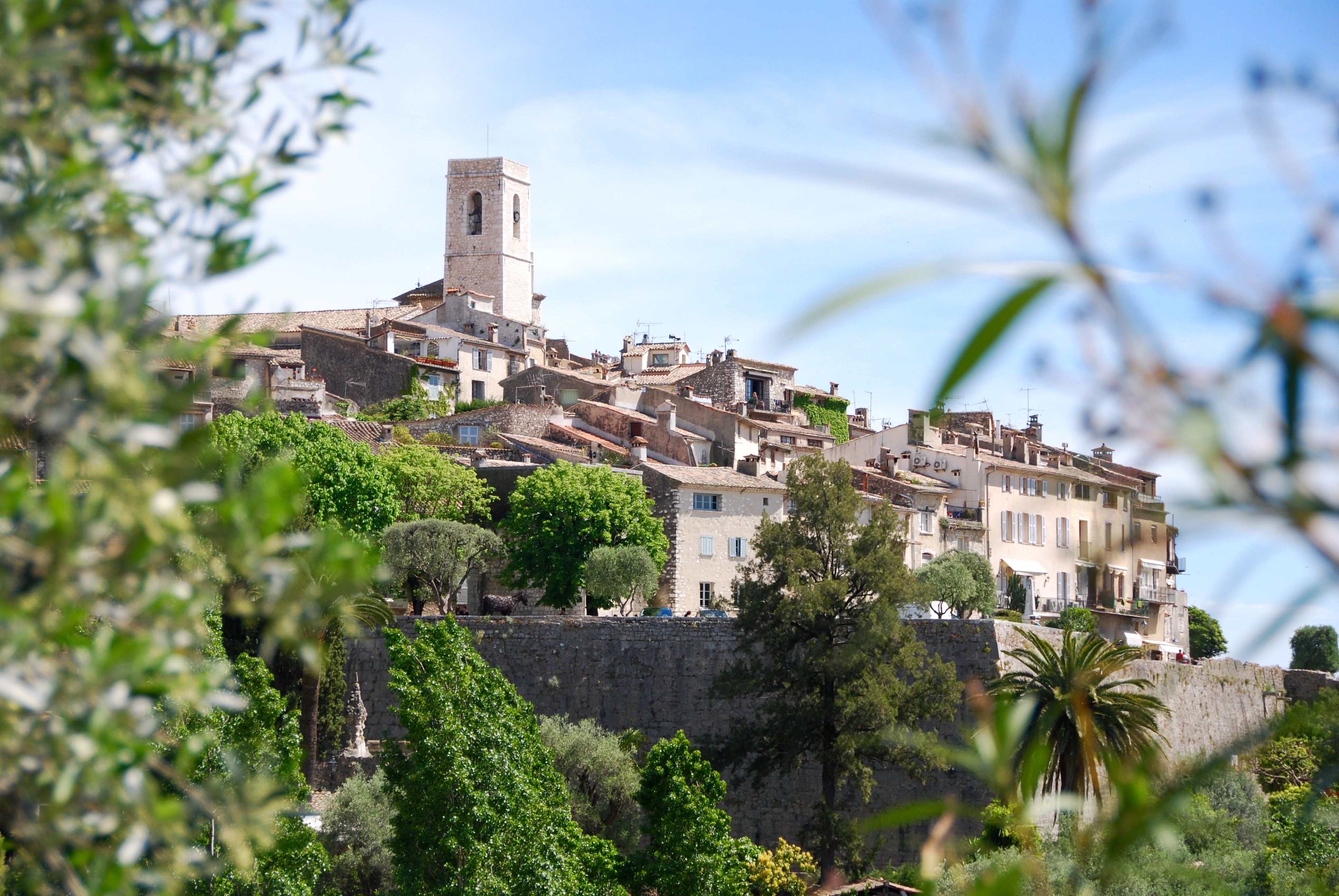 From the South of France 2014