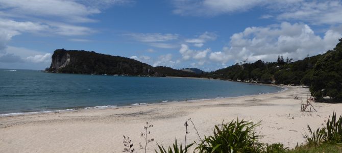 Firth of Thames, Coromandel, Whitianga and a Homemade Train