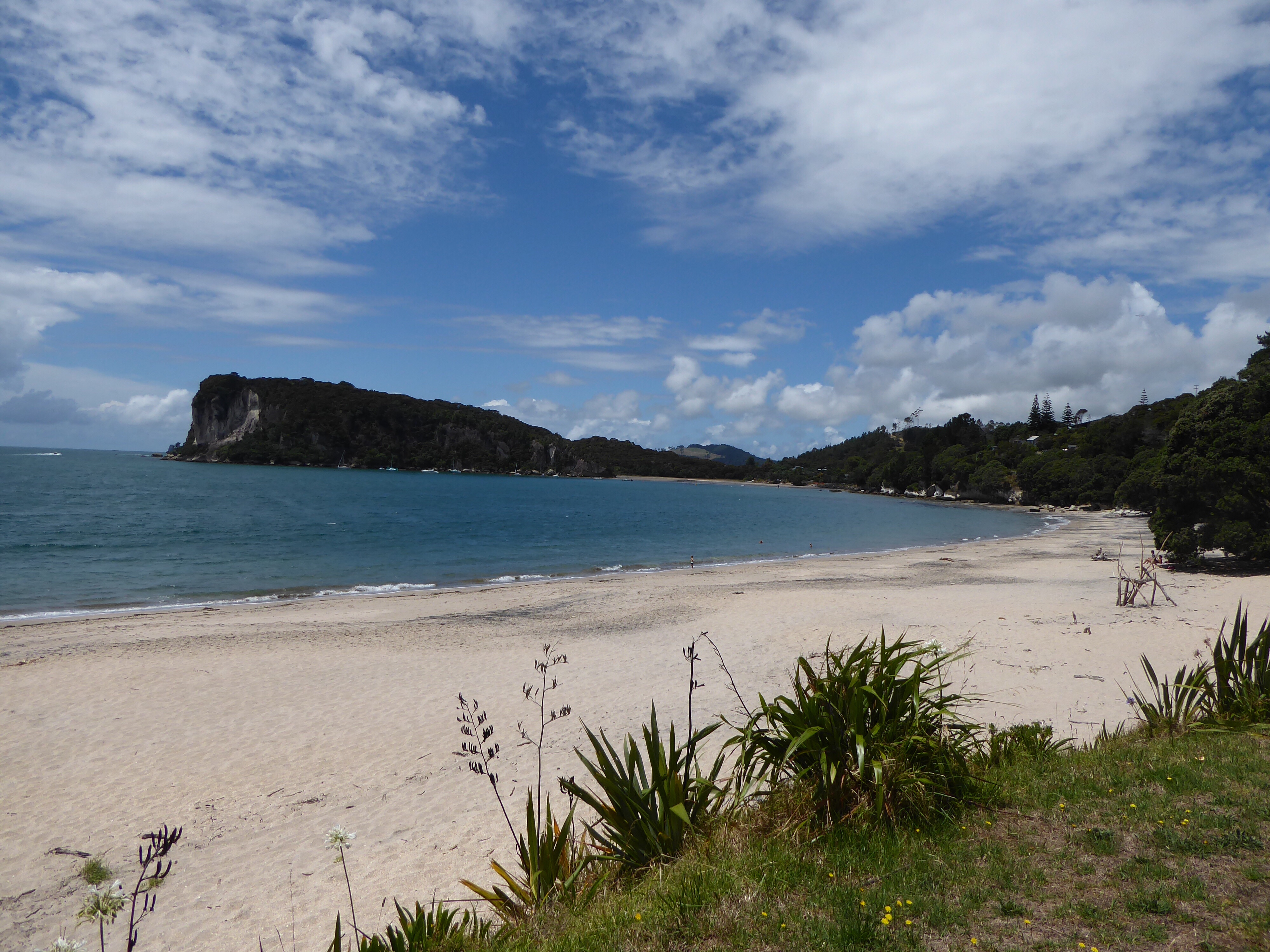 Firth of Thames, Coromandel, Whitianga and a Homemade Train