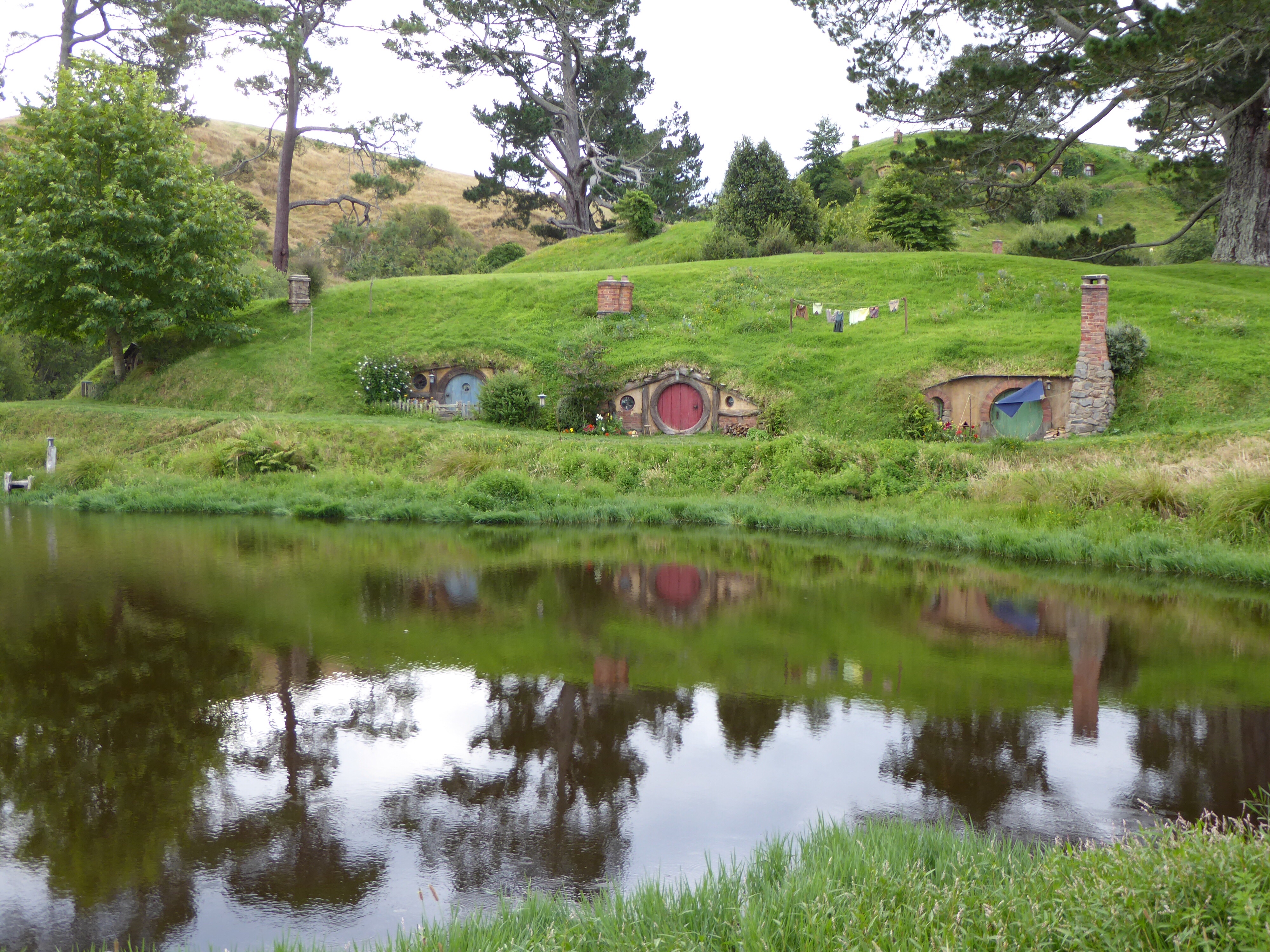 From Hot Water Beach to Hobbiton