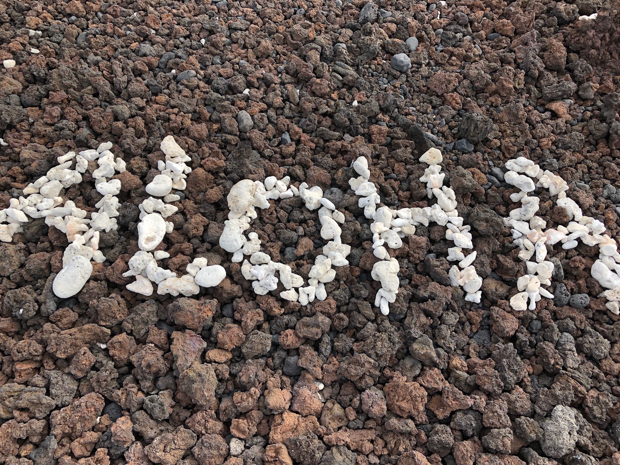 Maui 2019