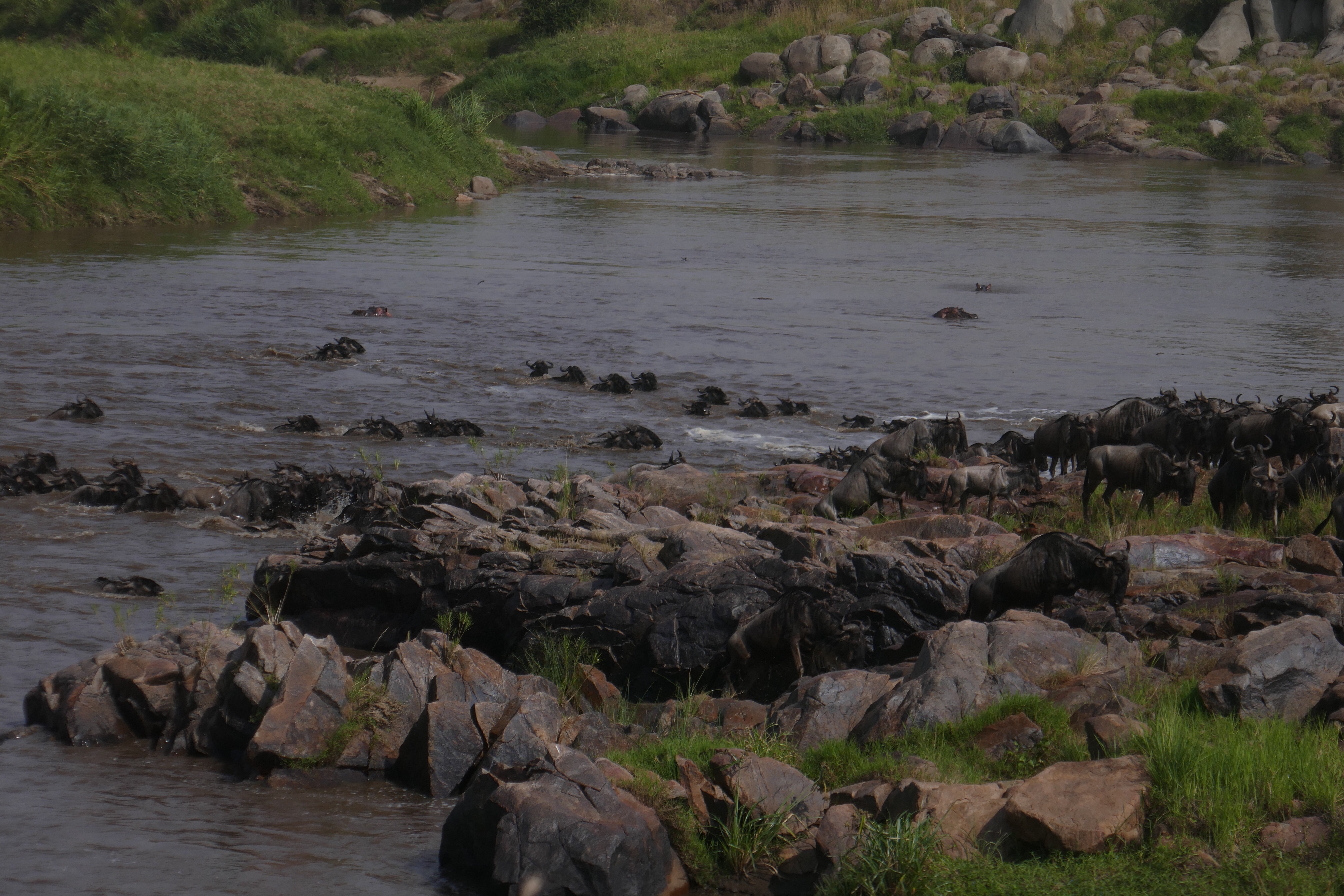 Limited Bandwidth