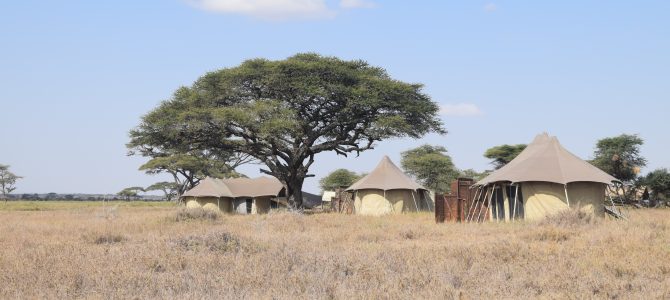 The Plains of Namiri