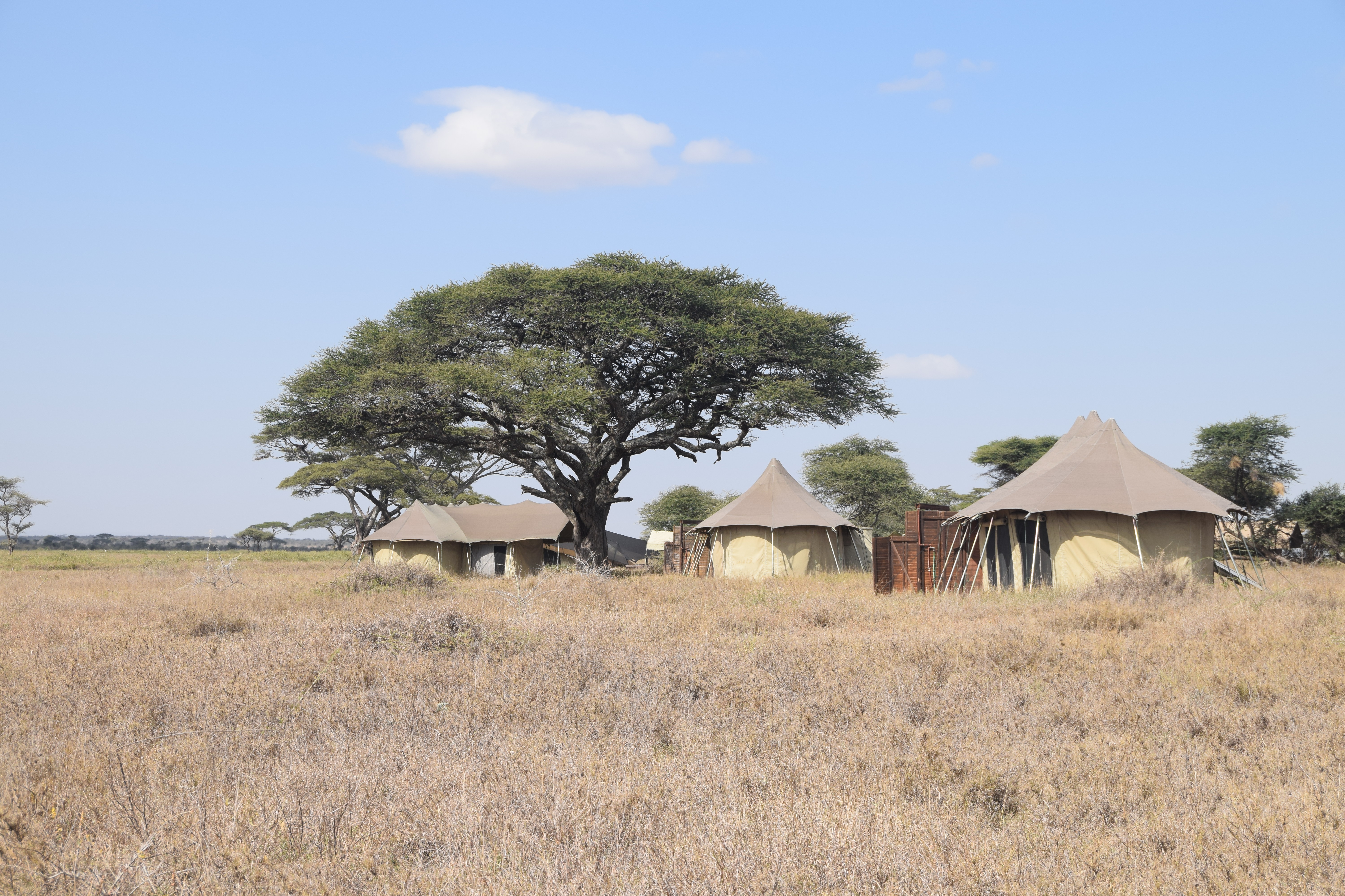 The Plains of Namiri